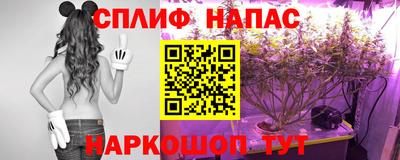 ПСИЛОЦИБИНОВЫЕ ГРИБЫ Шахты