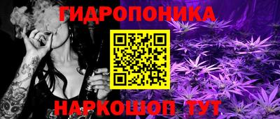 ПСИЛОЦИБИНОВЫЕ ГРИБЫ Шахты