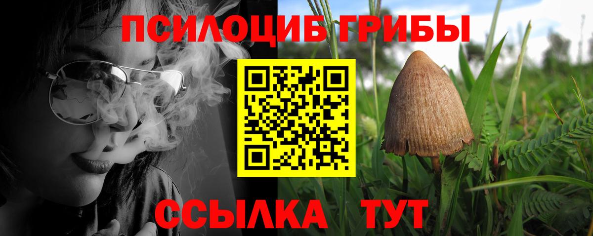 Артём  Галлюциногенные грибы мицелий  Вход с VPN 